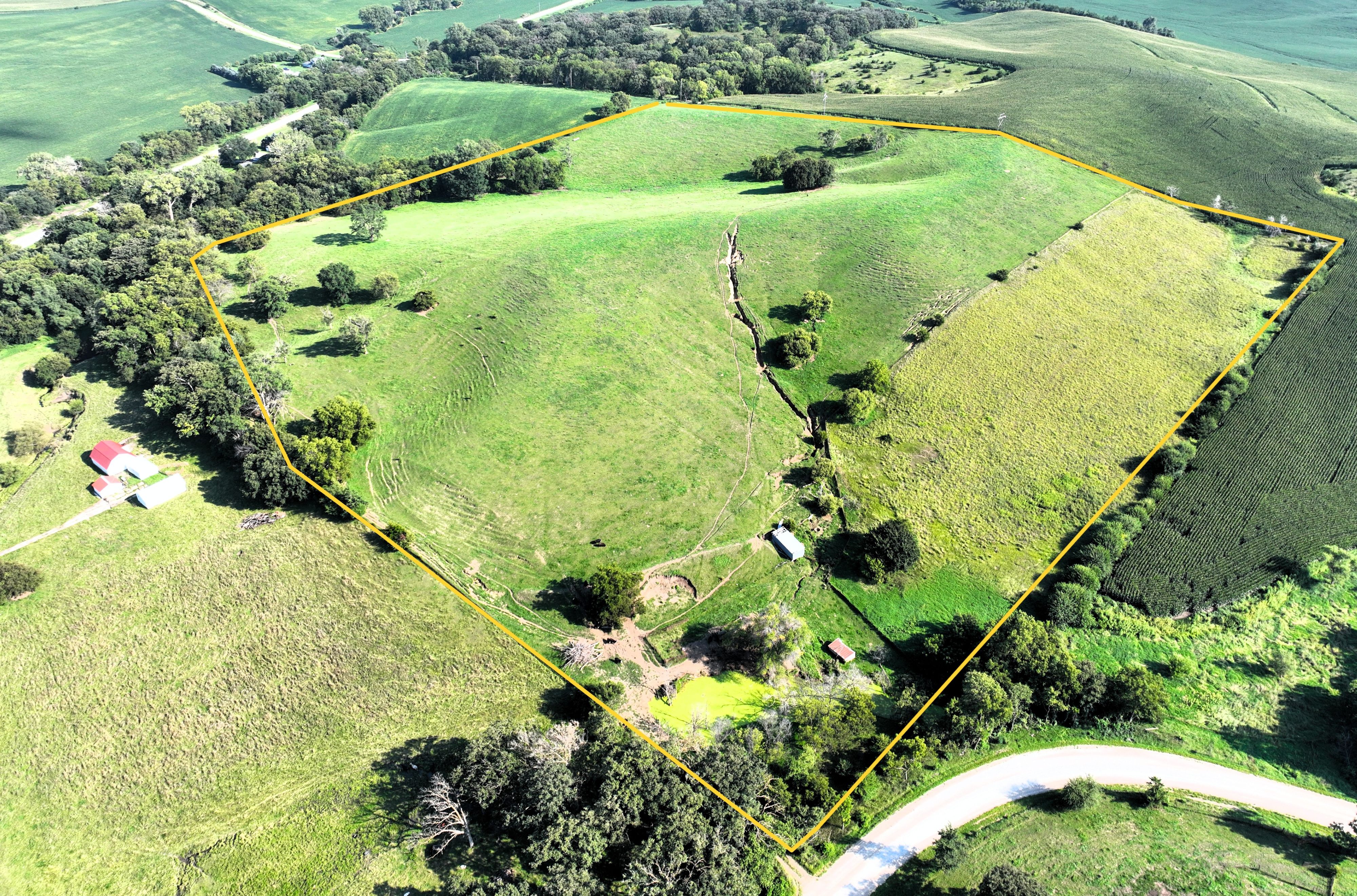 Midwestern Land and Auction Listing